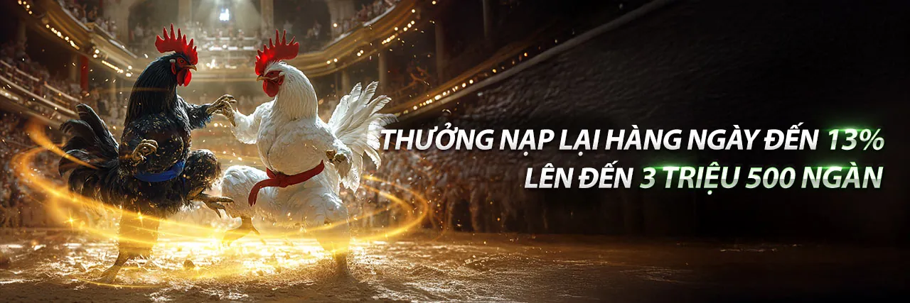 Đá Gà Trực Tiếp Campuchia